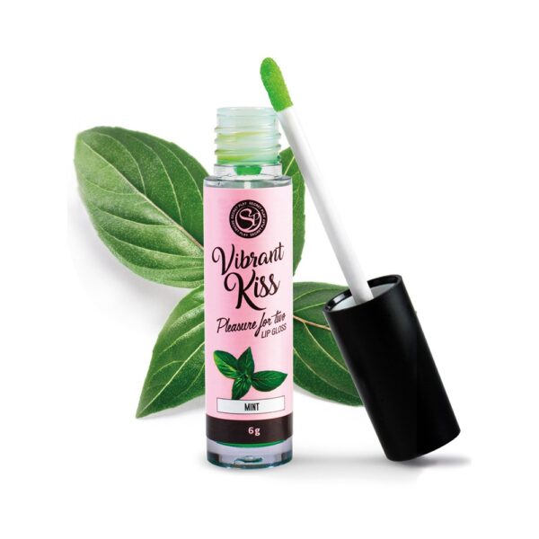 LIP GLOSS DE MENTA VIBRANT KISS 6GR - Imagen 2